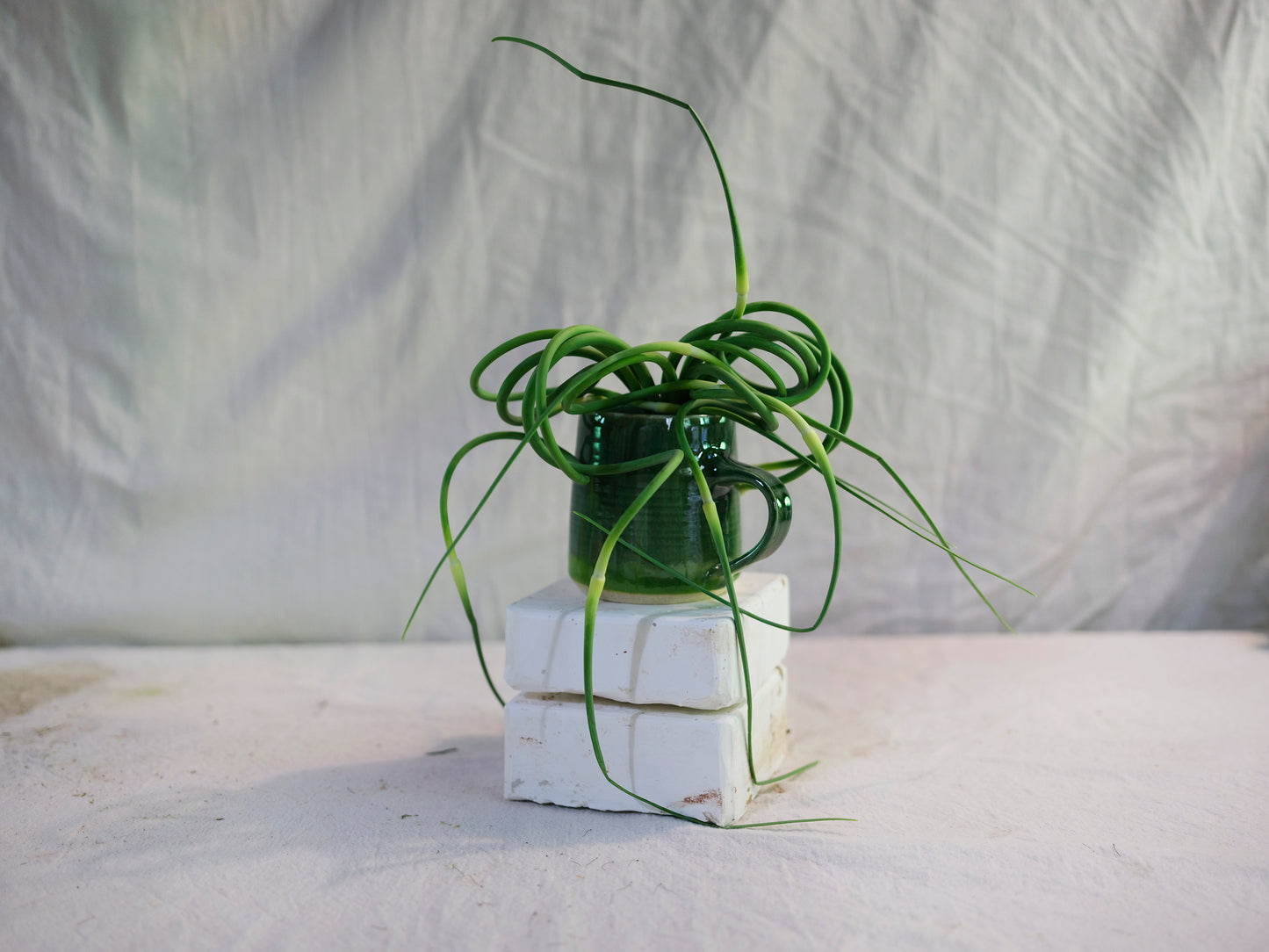 Green Mug