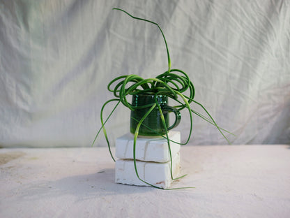 Green Mug