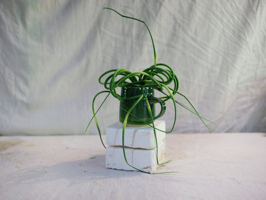 Green Mug